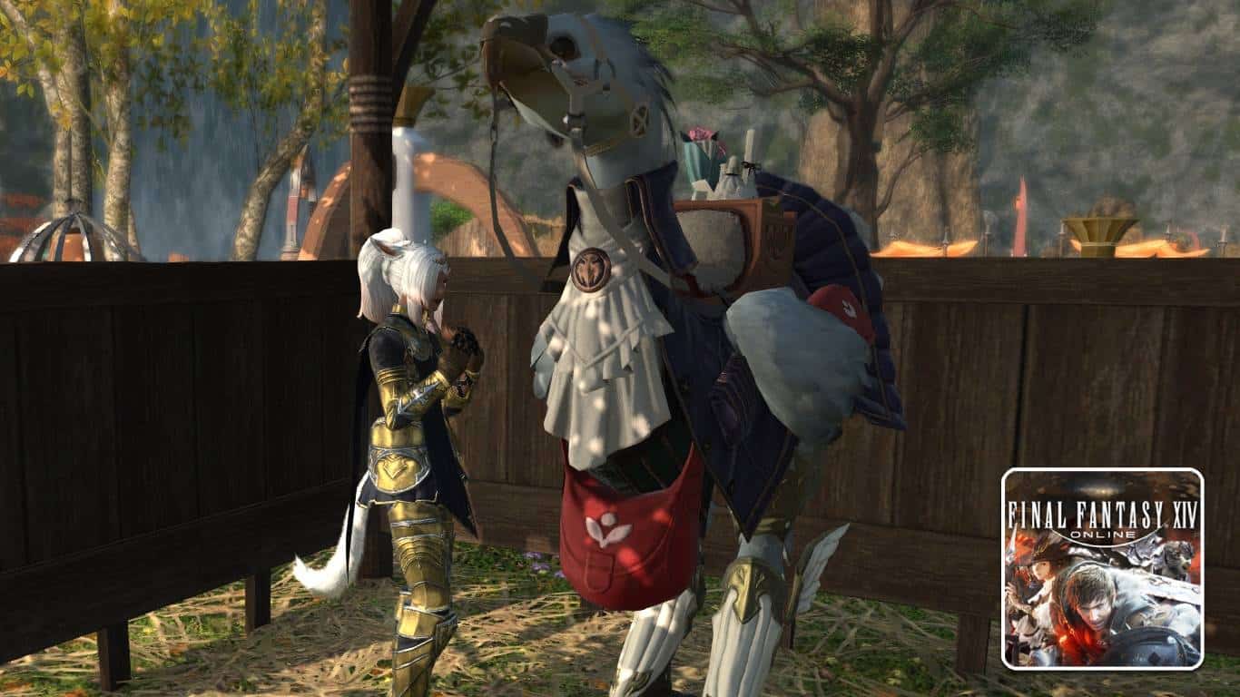 You are currently viewing FFXIV – How to Change Chocobo Color