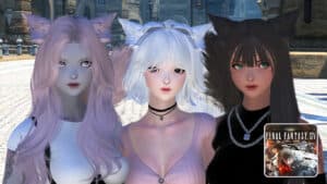 Read more about the article FFXIV – How to Install Mods