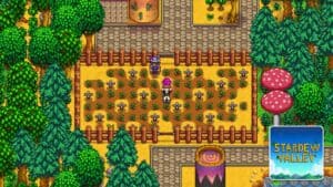 Read more about the article Stardew Valley – How to Get Red Cabbage